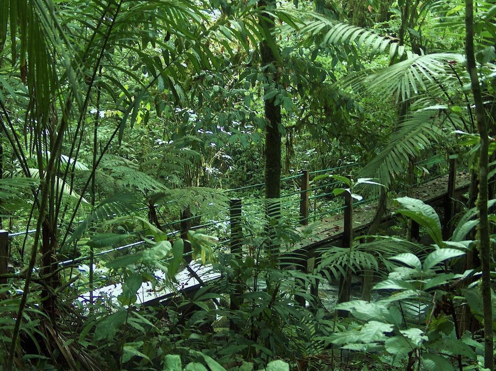 Yatama Rainforest Ecolodge Sarapiquí 외부 사진